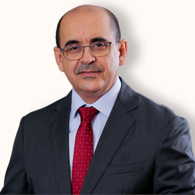 Professor Mohamed M. Salem Zein